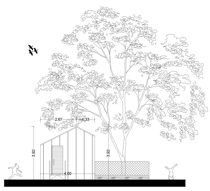 Vista ingresso Treehouse architettura in legno nel bosco Cuneo